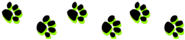 paw prints