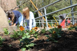 Grounds Work Day